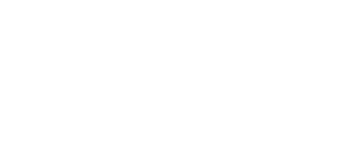 The "Branching Out Therapy Services" logo